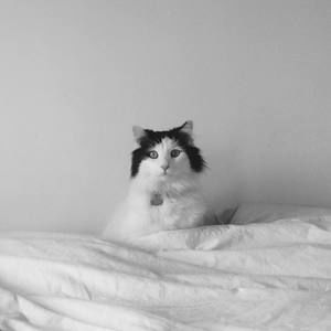 Meet your Posher, Jan dylan